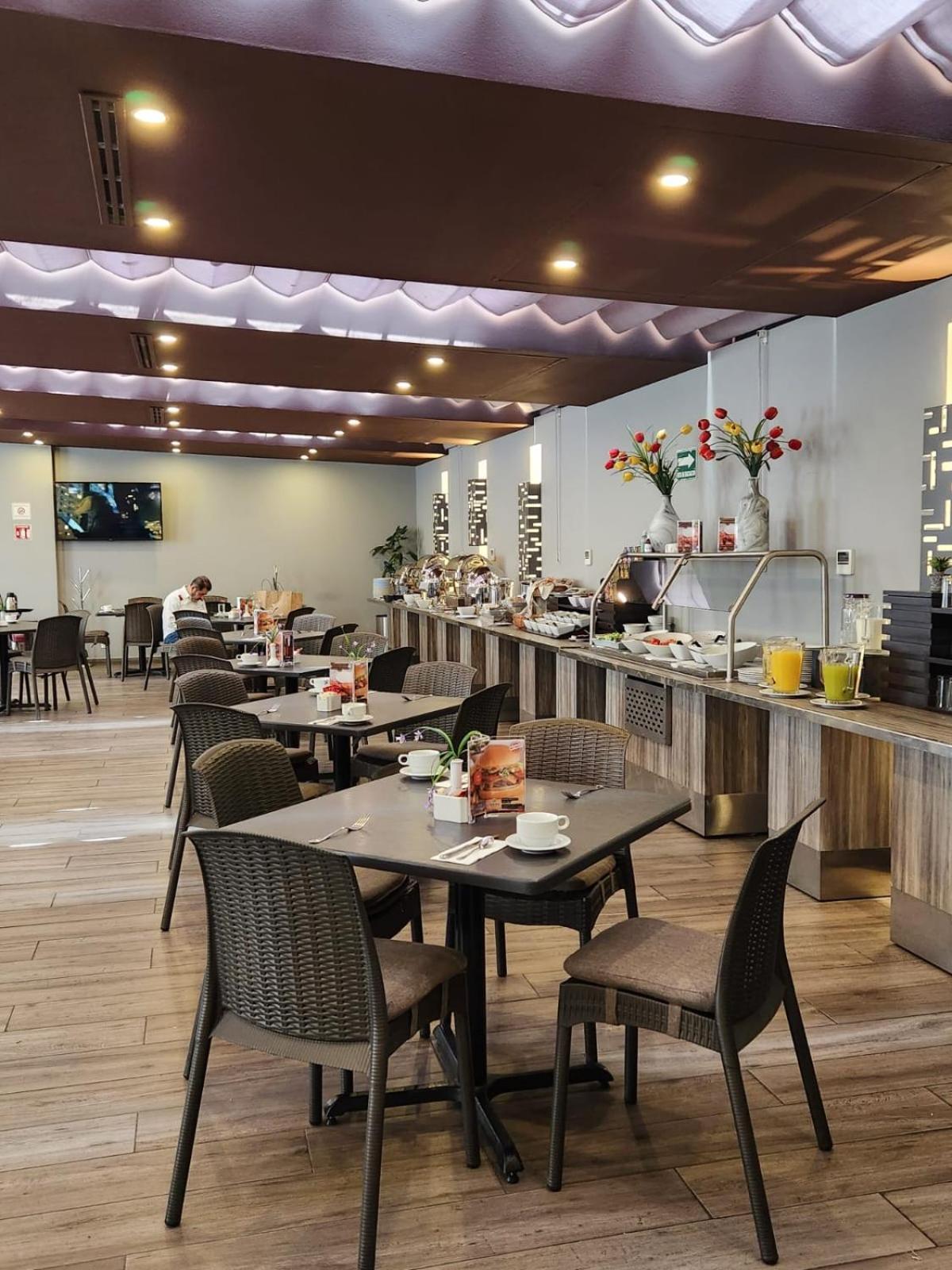 Hotel Ritz Ciudad De Mexico Εξωτερικό φωτογραφία