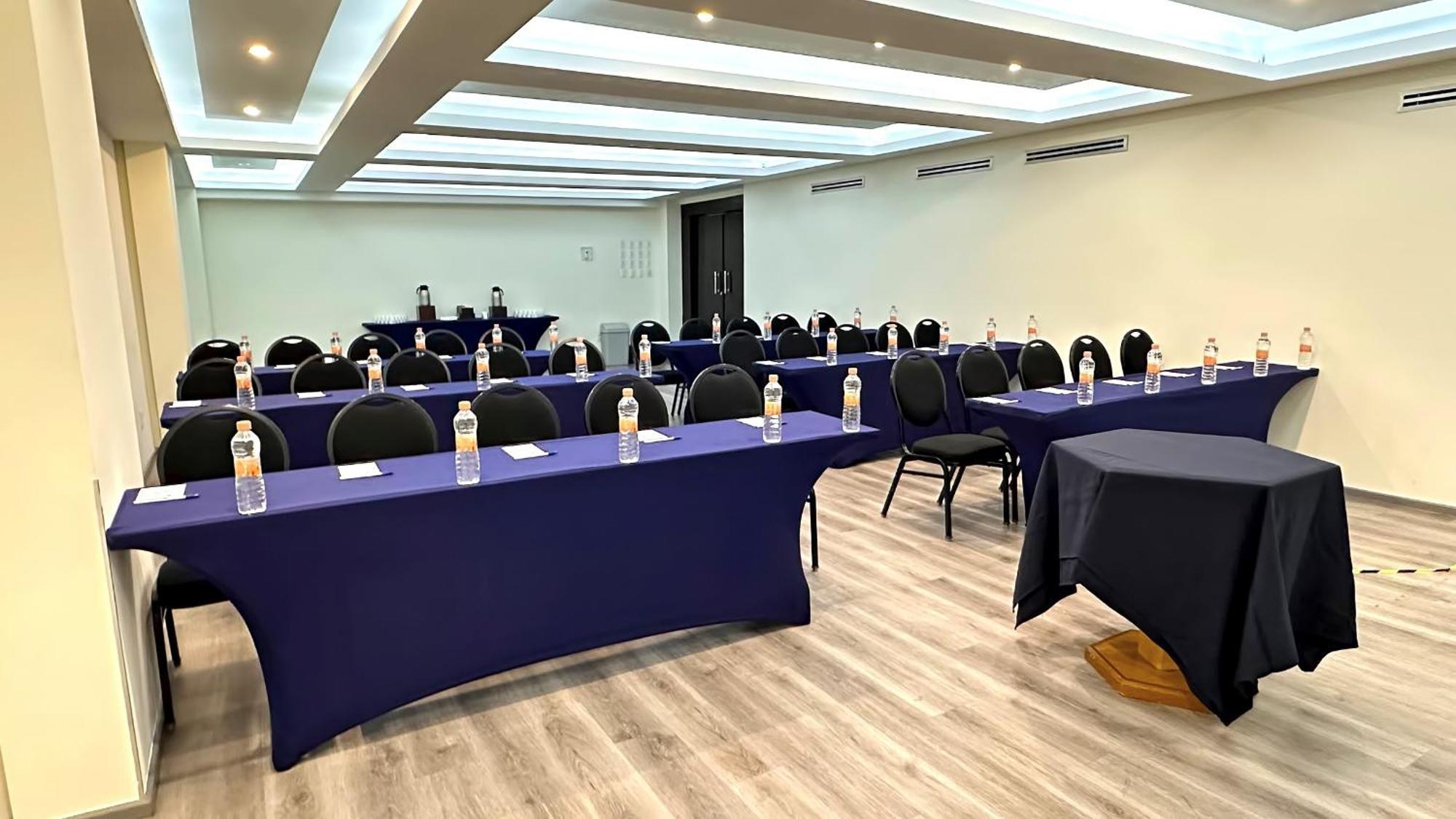 Hotel Ritz Ciudad De Mexico Εξωτερικό φωτογραφία